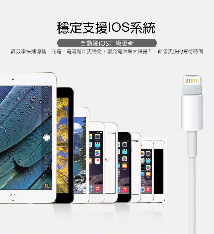 Apple蘋果適用 傳輸線 Apple Lightning